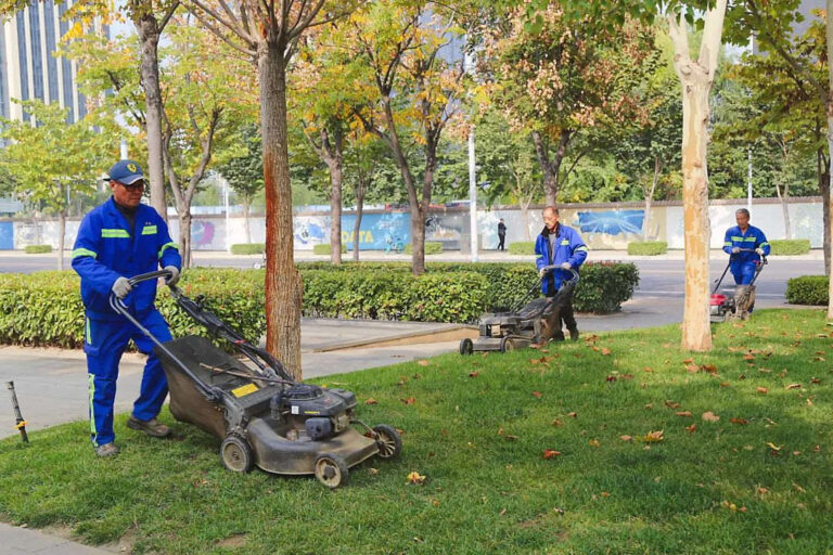 Cắt cỏ phát hoang