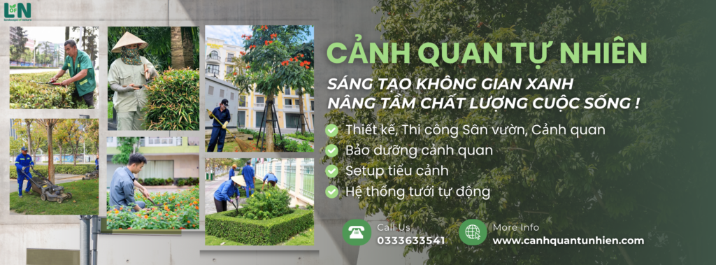 chăm sóc cảnh quan