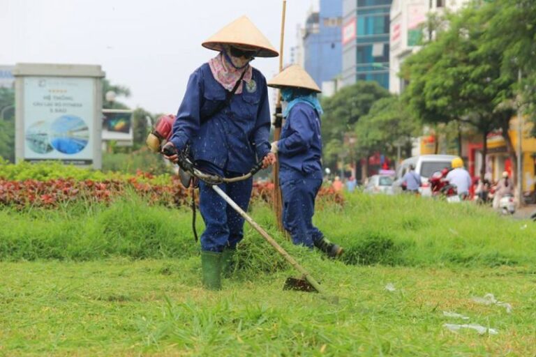 Cắt cỏ phát hoang hcm