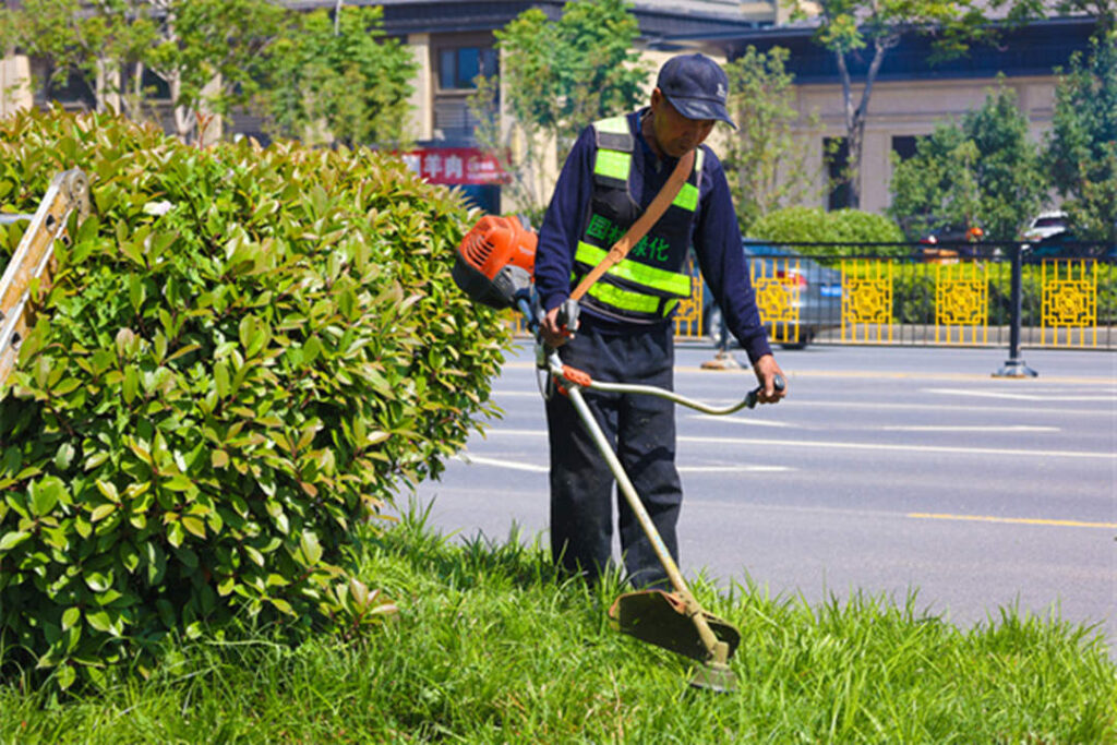 chăm sóc cảnh quan