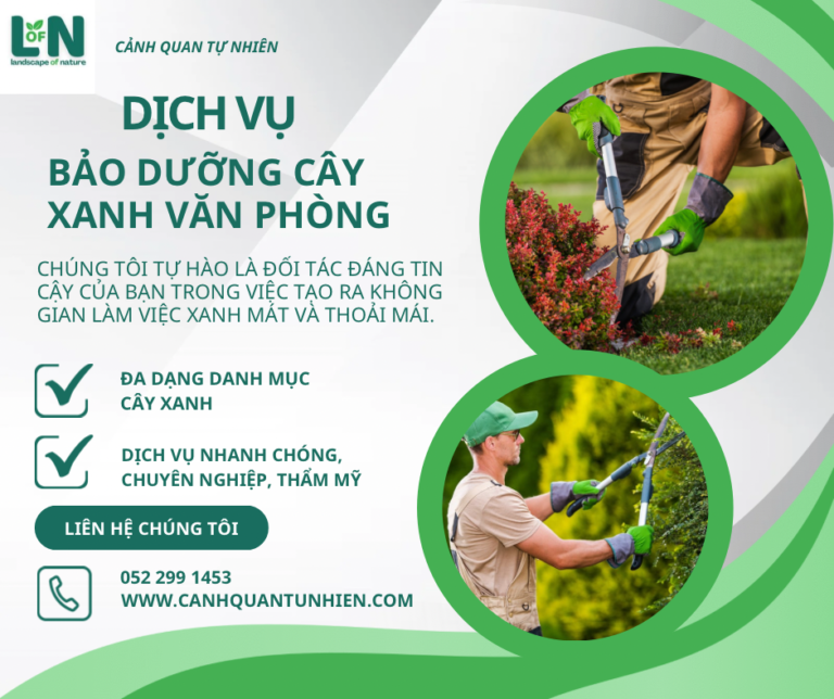 chăm sóc cảnh quan hcm